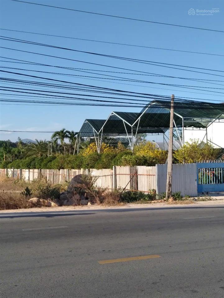 Bán đất mặt tiền nguyễn chí thanh, la gi, bình thuận
