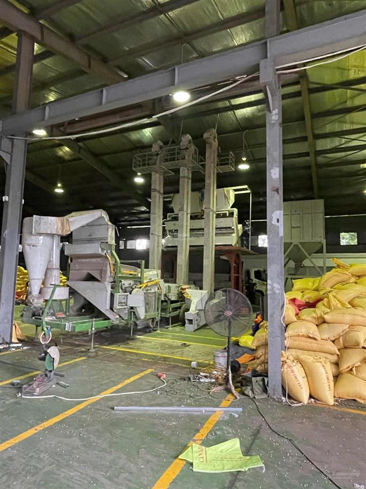 Bán 4000m2 nhà xưởng mặt đường 5 giá tốt (gần kẻ sặt)