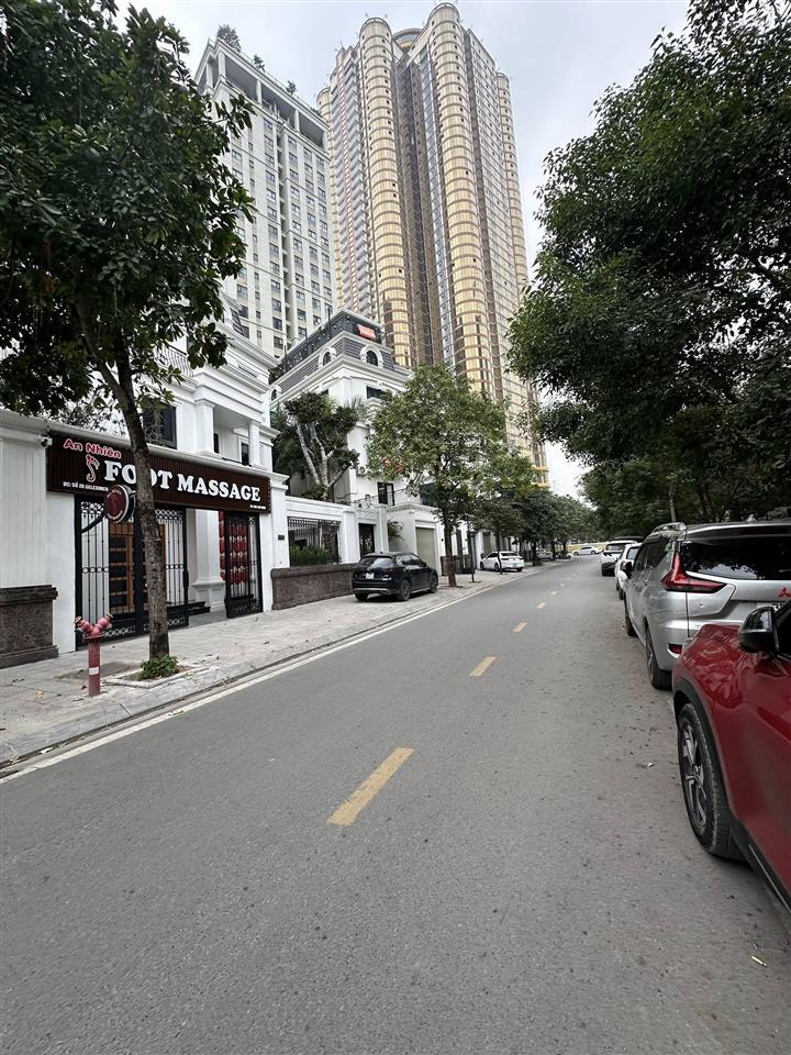 Siêu phẩm biệt thự song lập roman plaza tố hữu. view thoáng 200m x 4t, mt 12m. giá chào 50 tỷ tl.