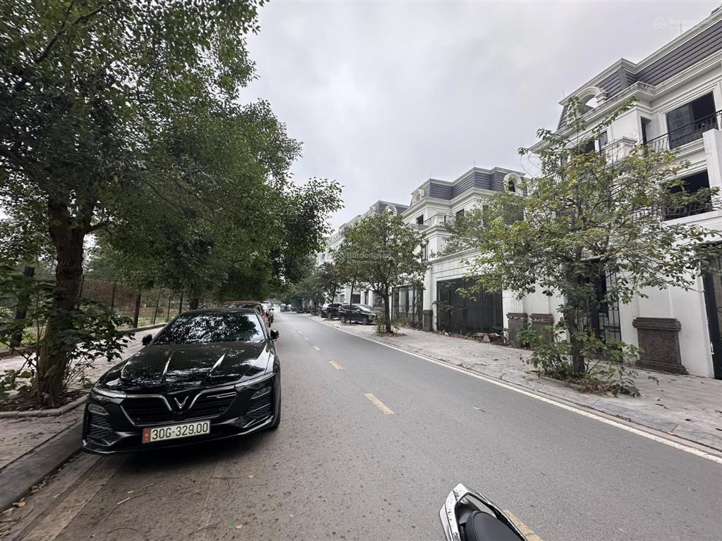 Siêu phẩm biệt thự song lập roman plaza tố hữu. view thoáng 200m x 4t, mt 12m. giá chào 50 tỷ tl.