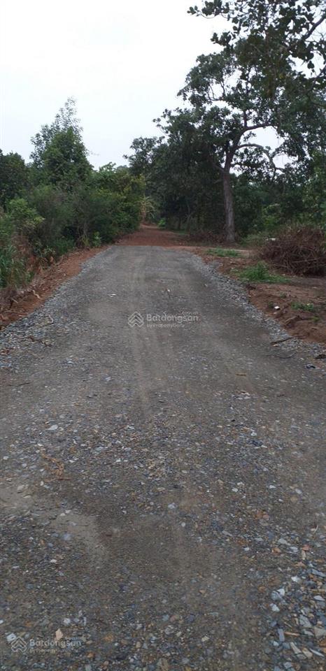 Bán đất 1000m2 ở xuân tâm, 490 triệu, mặt tiền 13m