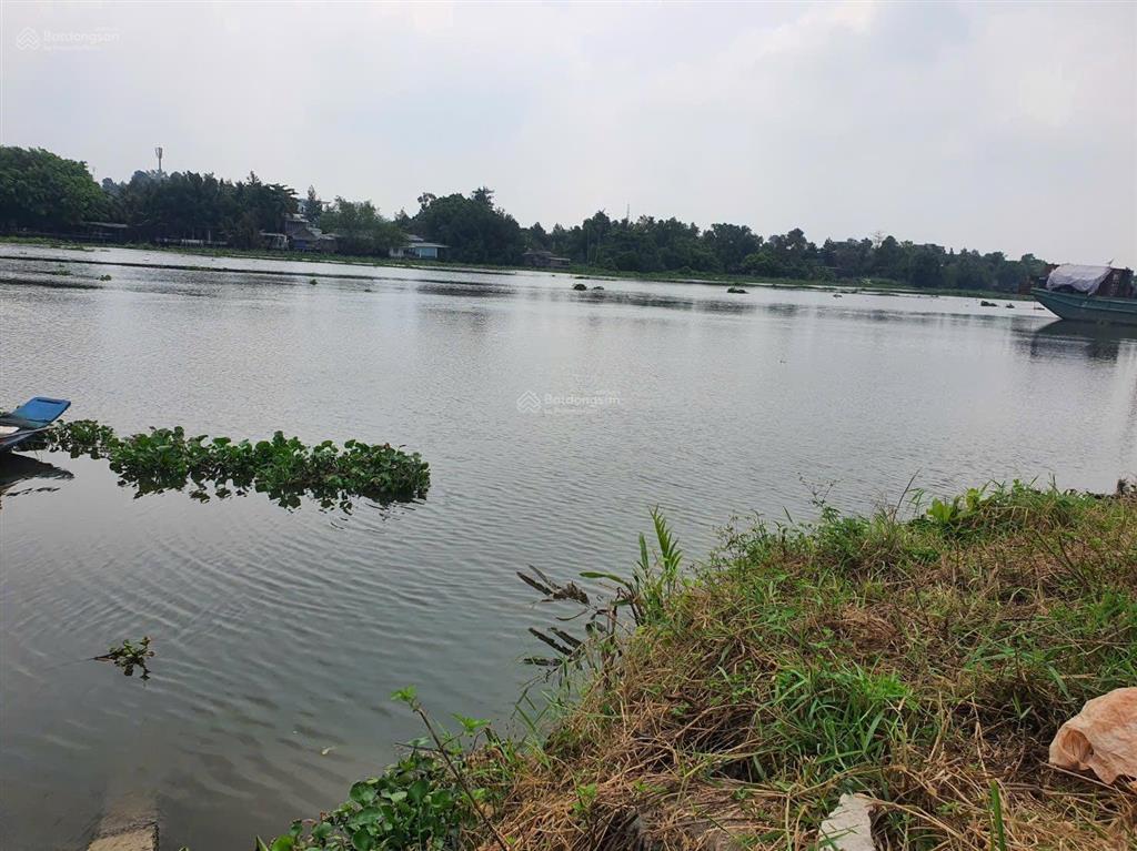 Bán đất mt sông sài gòn đông thạnh ( nhị bình cũ) dt 1685m đất trồng cây . khu dân cư vị trí đẹp