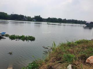 Bán đất mt sông sài gòn đông thạnh ( nhị bình cũ) dt 1685m đất trồng cây . khu dân cư vị trí đẹp