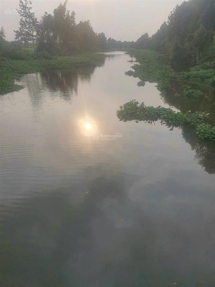 Bán đất mt rạch nhị bình hóc môn dt 1500m. khu vực đang phát triển. vị trí đẹp giá 5.5tr/m