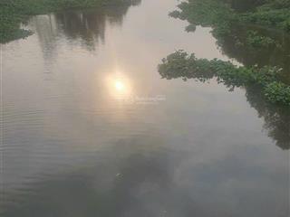 Bán đất mt rạch nhị bình hóc môn dt 1500m. khu vực đang phát triển. vị trí đẹp giá 5.5tr/m