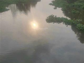Bán đất mt sông vàm thuật nhị bình hóc môn dt 1620m2. vị trí đẹp, khu dân ở rất đông