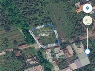 Bán đất góc 2mt đường nhựa nhị bình hóc môn cũ dt 2000m2, giá 4.5tr/m2 vị trí đẹp