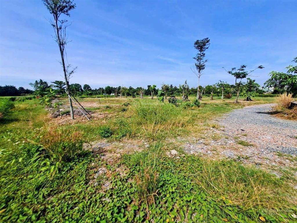 Bán đất nhị bình dt (60x45m) 2563m2, 200m2 thổ cư đường ô tô. vị trí đẹp khu vực đang phát triển