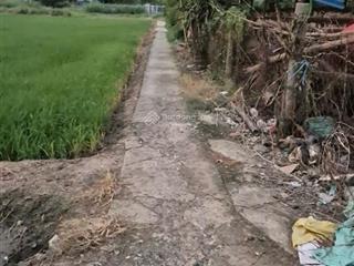 Bán 863.5 m vuông đất xã tân lân, cần đước, long an giá 500 triệu đồng