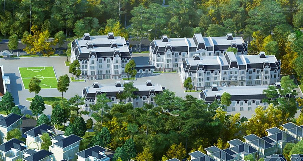 Chính chủ bán biệt thự vườn cam 240m2 đã có sổ đỏ giá đất chỉ 90 triệu/m²