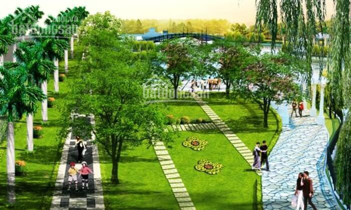 Chính chủ bán biệt thự vườn cam 240m2 đã có sổ đỏ giá đất chỉ 90 triệu/m²