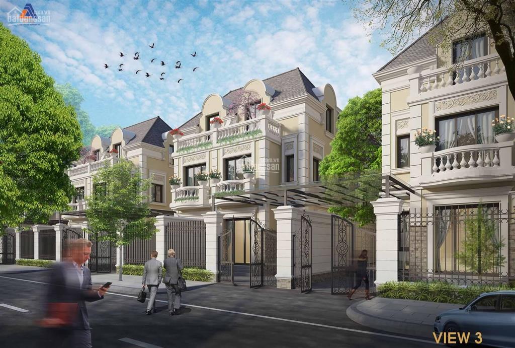 Chính chủ bán biệt thự vườn cam 240m2 đã có sổ đỏ giá đất chỉ 90 triệu/m²