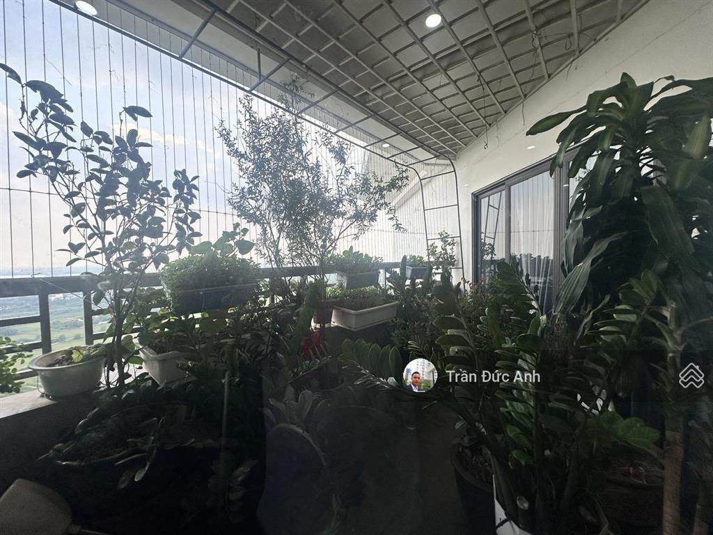 Tecco garden siêu phẩm penthouse 223m² 14 tỷ vnd, sân vườn xanh ngát