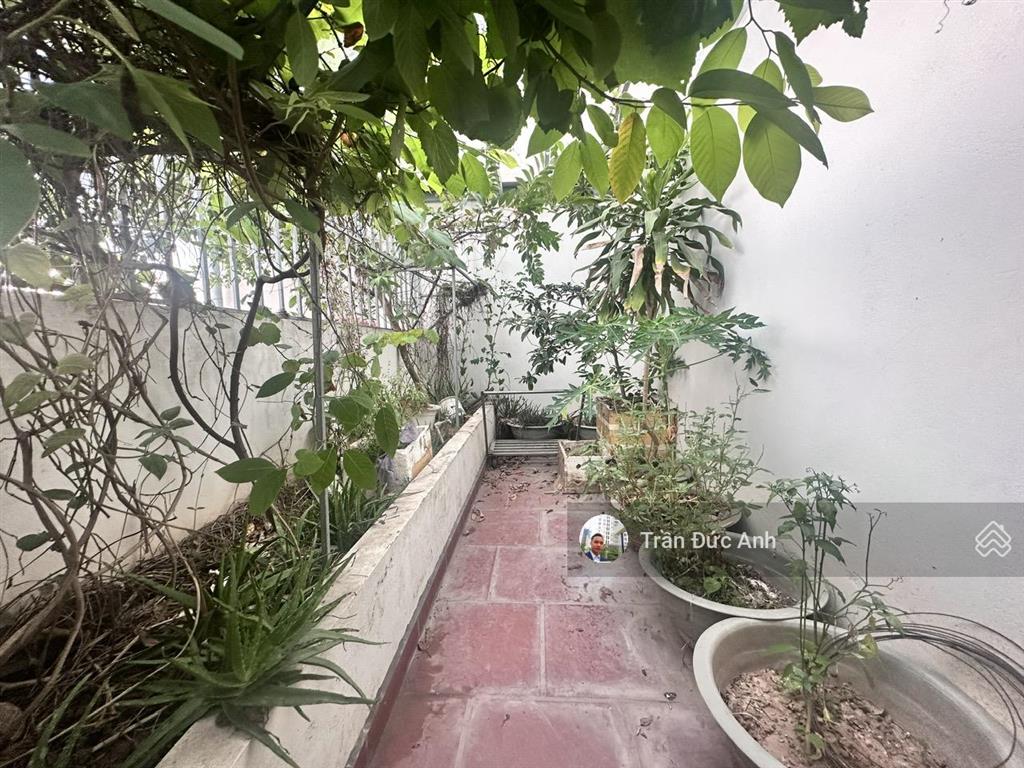 Tecco garden siêu phẩm penthouse 223m² 14 tỷ vnd, sân vườn xanh ngát