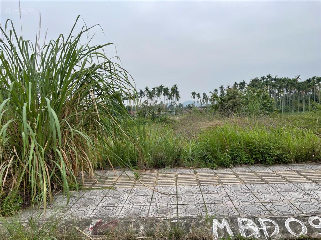 Bán đất tại tdc hoa động, thủy nguyên, hải phòng, giá 3,18 tỷ, 60m2