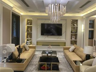 Cho thuê cặp song lập full đồ cao cấp vinhomes ocean park 1, gia lâm
