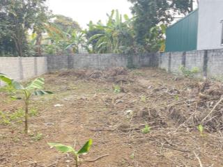 Bán lô đất đẹp 393m đồng bái, lương sơn, hòa bình diện tích 393m