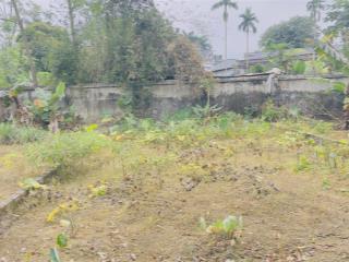 Cần bán lô đất đẹp đồng vàng phú cát, quốc oai, hà nội giá đầu tư (dưới 3 tỷ)