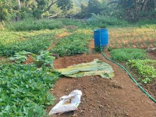 Bán đất nghỉ dưỡng hoà sơn lương sơn, vị trí hòa sơn khu vực đang phát triển mạnh