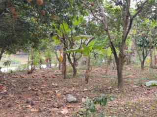 628m 200m thổ cư giá đầu tư .gần công viên di sản