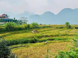 Chuyển nhượng siêu phẩm nghỉ dưỡng tại kim bôi hòa bình ( giá đầu tư)