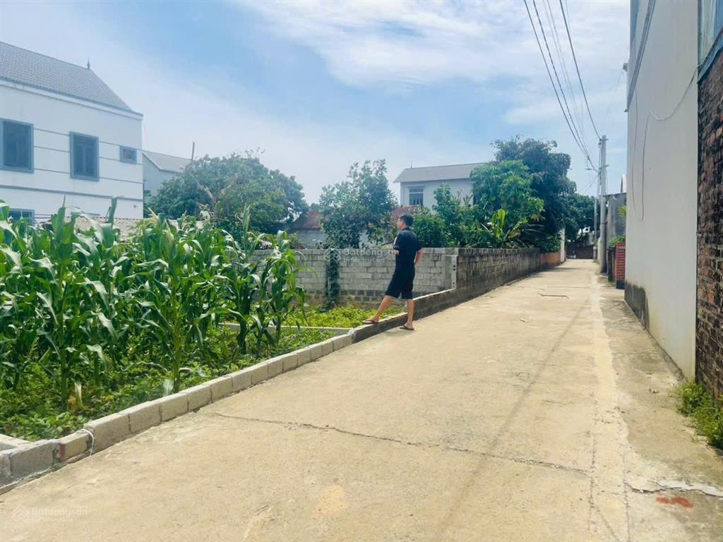 Cắt lỗ 100m fun toàn bộ đất ở, tại phú cát hà nội, giá đầu tư chỉ chưa tốt 2 tỷ