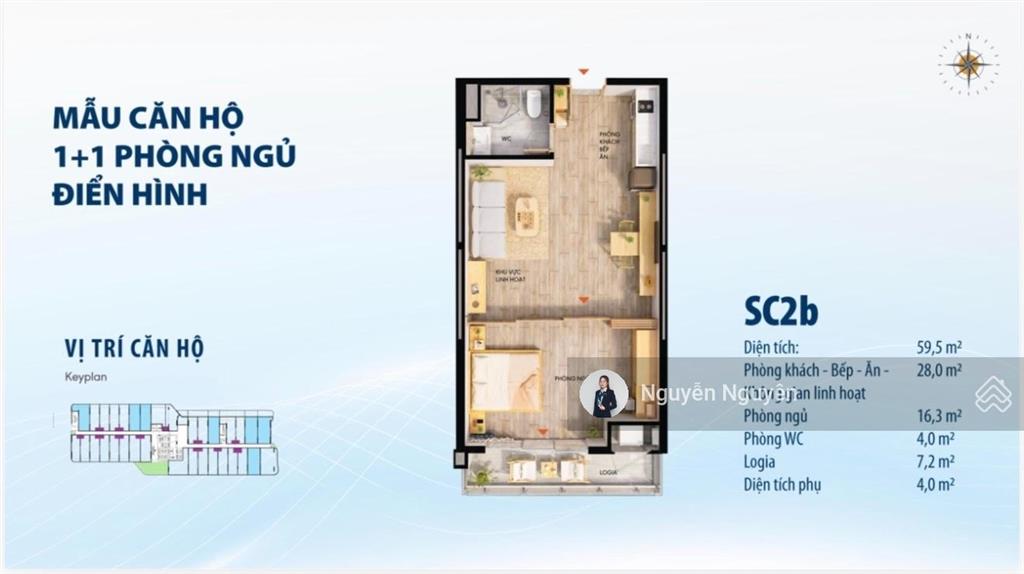 Ttc plaza đà nẵng  căn hộ 1pn (51m2)  thanh toán chỉ 578 triệu nhận nhà ngay  htls 0% 12 tháng