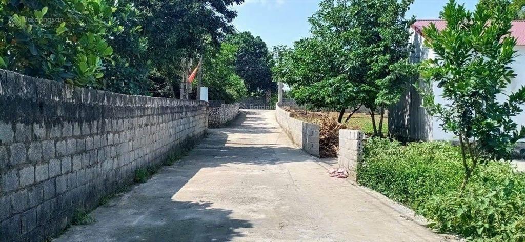 Giảm sâu  bán gấp 1700m² đất tại tt ba hàng đồi