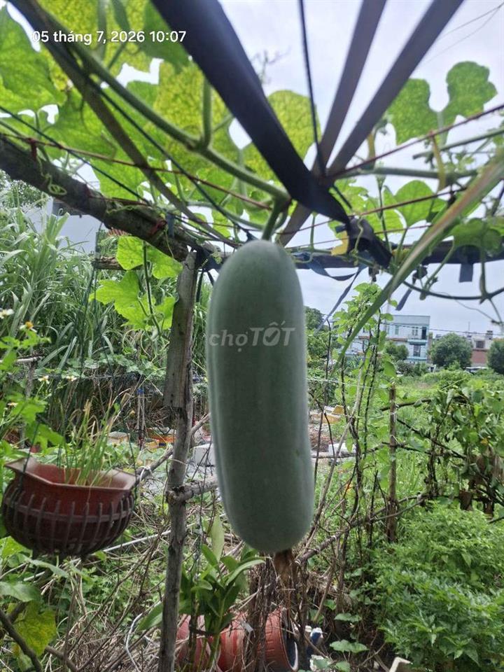 Cần Bán Đất mặt tiền diện tích 2000m2 Tân Thành