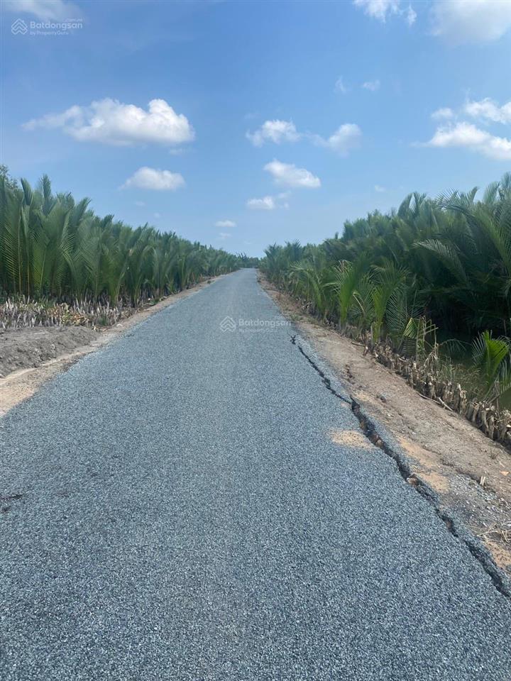 Cần bán 2.000m2 đất an thới đông, cần giờ, hcm 6tỷ2 đất đẹp