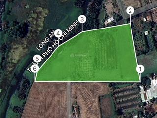 22tỷ giảm còn 14tỷ5 10.000m2 quy đức bình chánh gần dự án 1.100ha của vingroup bình chánh !