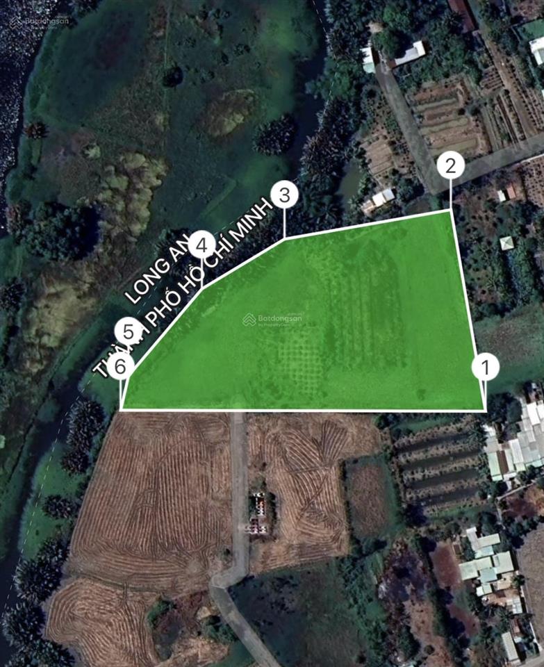 Cần bán 10.000m2 đất 22ty giảm còn 14ty5 quy đức bình chánh cách vinhome 1.100ha bình chánh 1km