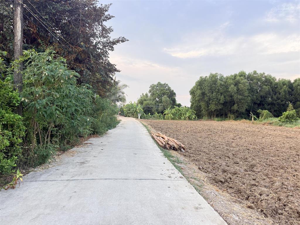 Bán đất đan, 499 triệu, 145 m2, view đẹp hàng hiếm tại tân trụ, long an