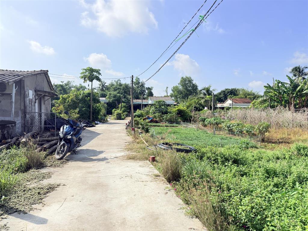 Bán đất tại đường đan, bình lãng, tân trụ, giá siêu hời 450 triệu, 144m²