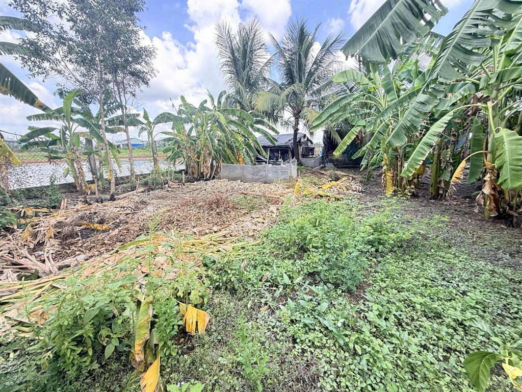 Bán đất tại đan, tân phước tây, 1,2 tỷ, 300m2, view đẹp