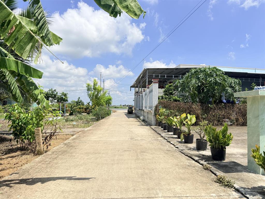 Bán đất tại đan, tân phước tây, 1,2 tỷ, 300m2, view đẹp