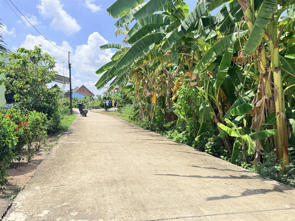 Bán đất tại đan, tân phước tây, 1,2 tỷ, 300m2, view đẹp