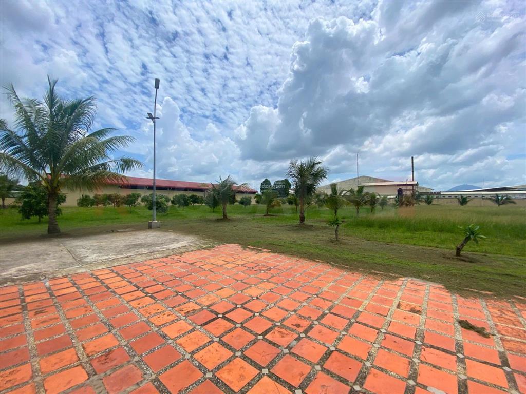 Bán gấp chuyển nhượng nhà xưởng 2.6 ha ngoài khu công nghiệp tại tây ninh