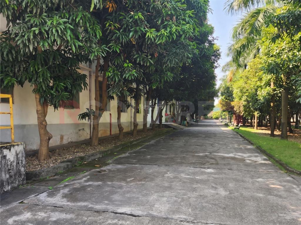 Bán gấp chuyển nhượng nhà xưởng may mặc 53.300 m² tại khu công nghiệp thụy vân, phú thọ