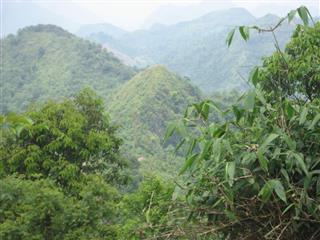 BÁN GẤP 506 HA RỪNG SẢN XUẤT TẠI XÃ BẠCH NGỌC HÀ GIANG – CÓ MỎ KHOÁNG SẢN – GIÁ CHỈ 65 TỶ (TL)