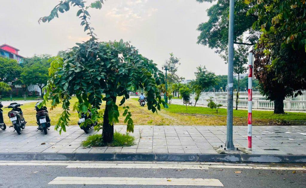 BÁN GẤP ĐẤT VỊ TRÍ VÀNG GẦN TRỤC CỔ LINH – LONG BIÊN | 61M² VUÔNG VỨC | NGÕ THÔNG Ô TÔ NGỦ | GIÁ 17,5 TỶ TL