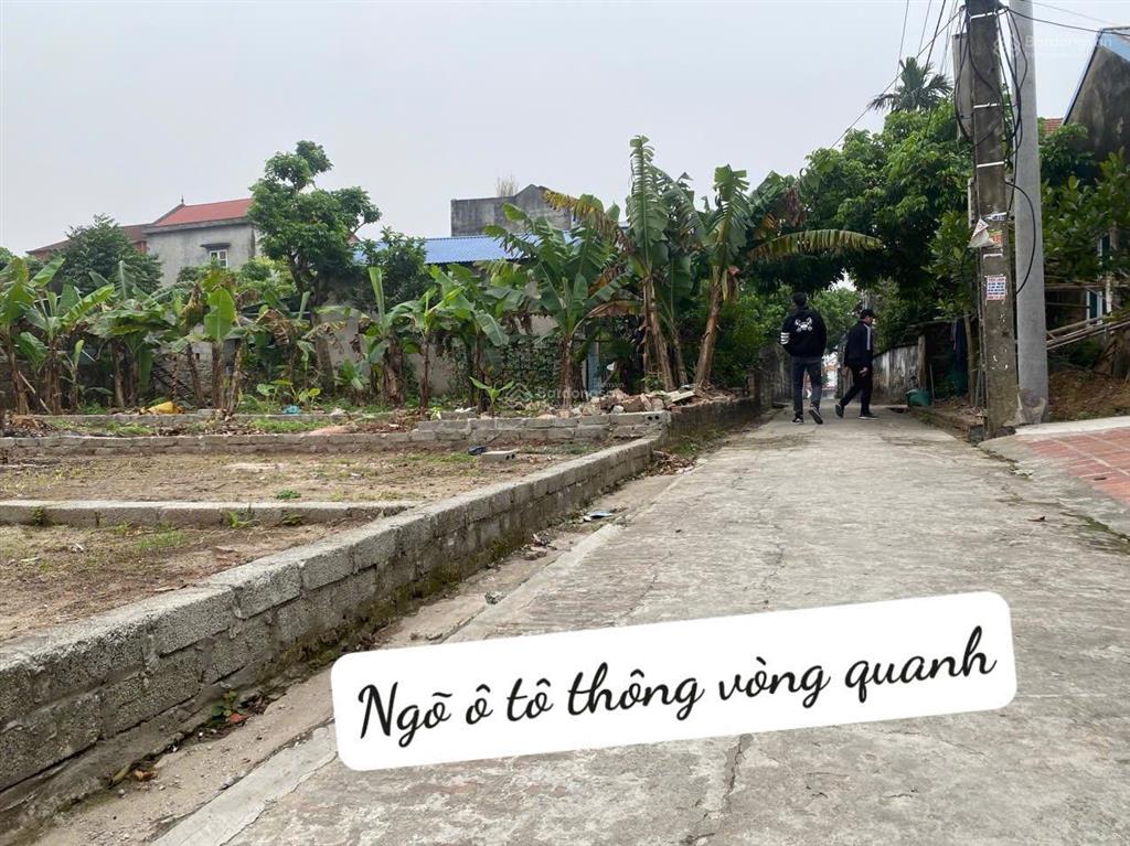 Bán đất tại xã ông đình, huyện khoái châu, hưng yên, 23 triệu/th, 84 m2, chính chủ bán gấp
