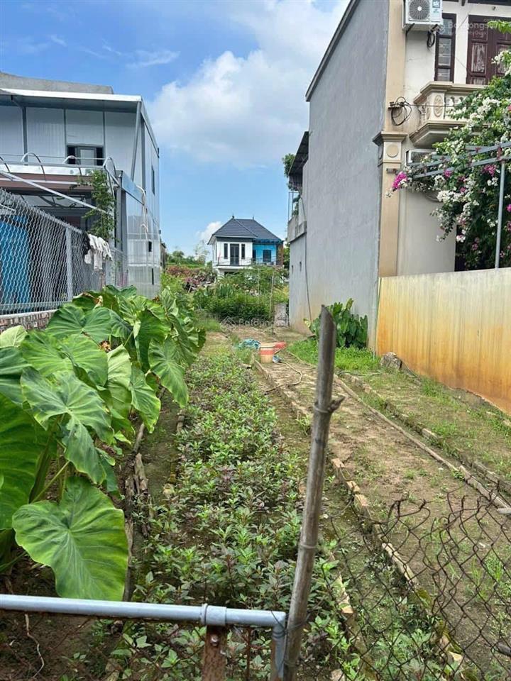 Bán đất thị trấn văn giang sát khu đô thị aluvia  thành phố ven sông văn giang. giá nhỉnh 3,5 tỷ