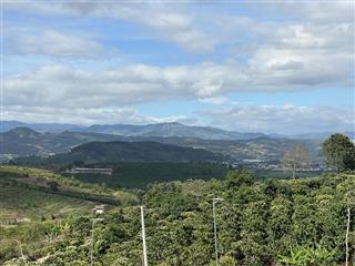 Cơ hội sở hữu đất đẹp tại đinh văn lâm hà, ven đà lạt chỉ với 490 triệu