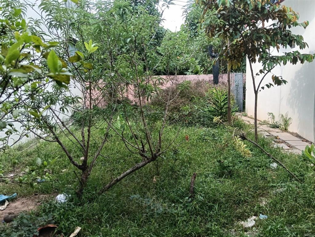 Chính chủ cắt lỗ lô đất phố nhổn xuân phương nam từ liêm lô góc dt 193m2,mt 30m oto qua giá 90tr/m2