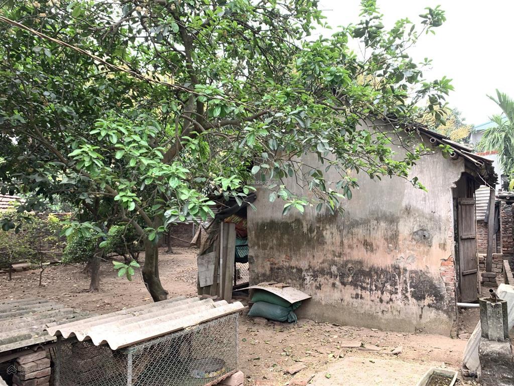 Cực hiếm bán 174m2 đất full thổ cư lục xuân, phúc lộc, hà nội. sát trục tây thăng long. 16 triệu/m2