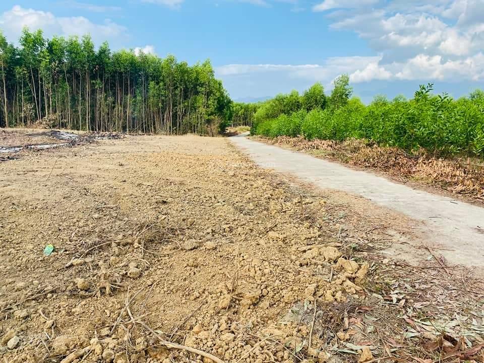 1.000m2 khánh hiệp  15m mặt tiền bám đường bê tông  có sổ đỏ