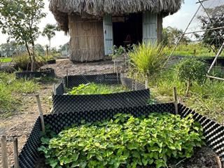 Chính chủ bán nhanh lô đất nông nghiệp xã thới tam thôn, hóc môn dt 1583.3 m2