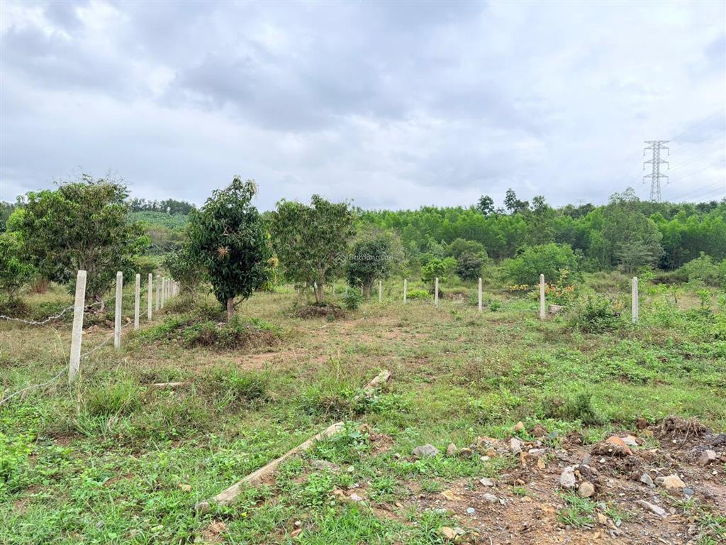 Diên lâm giáp ranh diên sơn cách trung tâm diên khánh, giá 420 tr