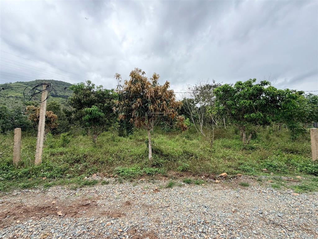 Diên lâm giáp ranh diên sơn cách trung tâm diên khánh, giá 420 tr